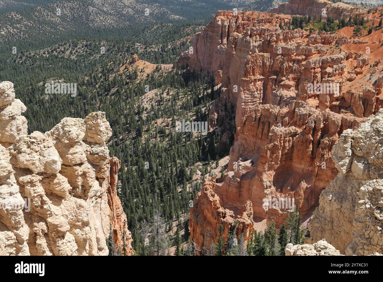 Bryce Canyon vom Rainbow Point Aussichtspunkt am Rand des Canyons, Utah. Stockfoto