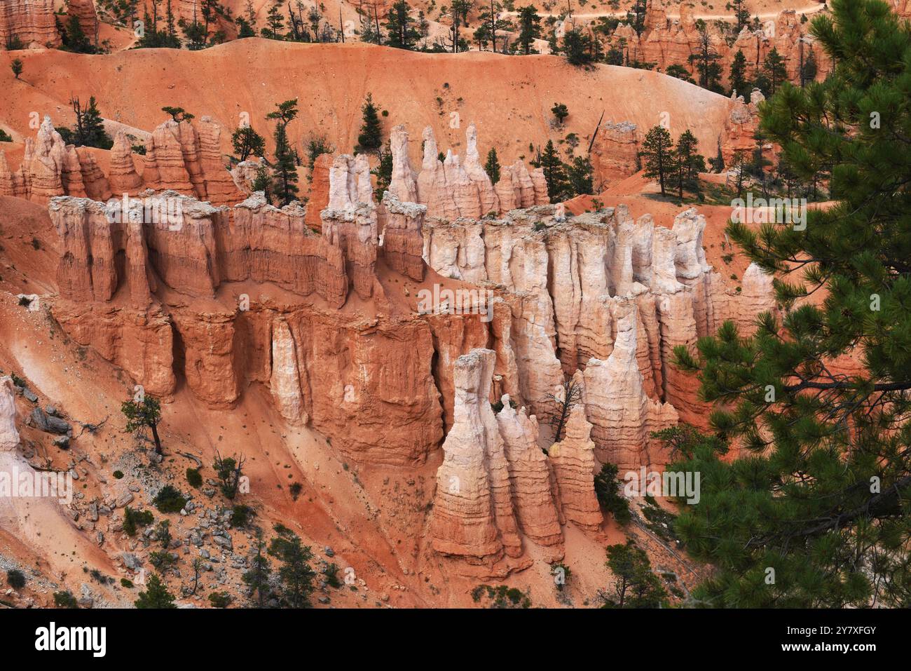 Bryce Canyon National Park mit vertikalen, freistehenden Hoodoos und farbenfrohen Klippen der Claron Formation vom Sunset Point Aussichtspunkt, Utah. Stockfoto