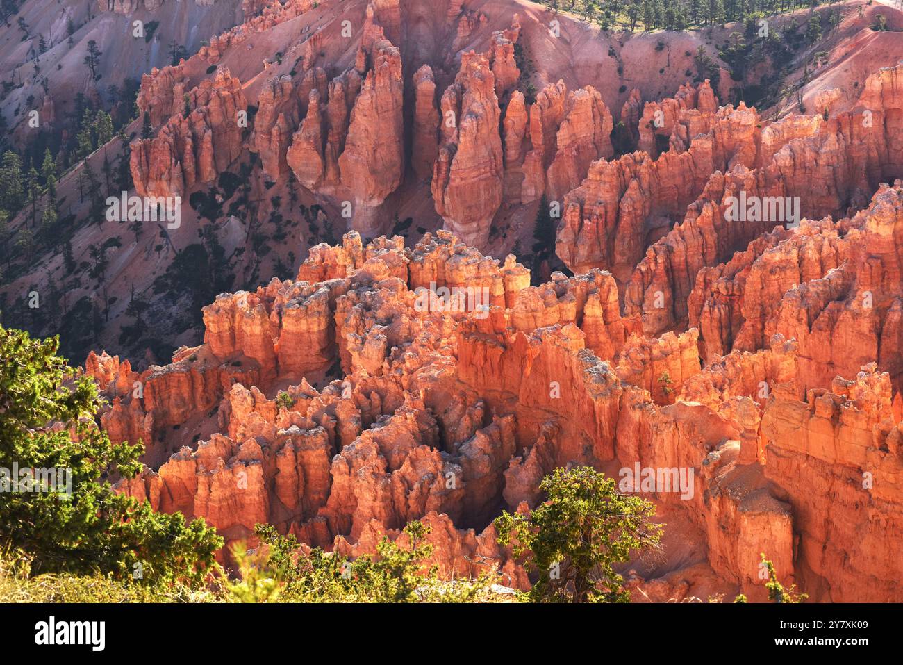 Bryce Canyon National Park mit vertikalen, freistehenden Hoodoos und farbenfrohen Klippen der Claron Formation vom Sunset Point Aussichtspunkt, Utah. Stockfoto