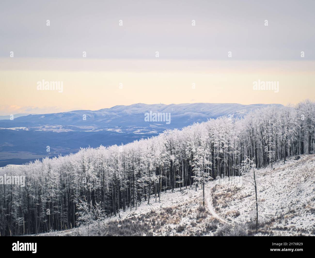 Eine malerische Winterlandschaft von Galyatet? Im Mátra-Gebirge, Ungarn. Das Bild zeigt einen frostbedeckten Wald und einen gewundenen Pfad, der durch die Gegend führt Stockfoto