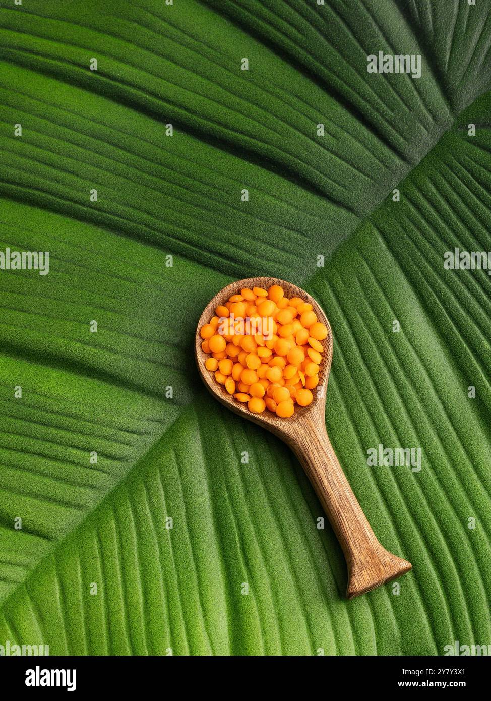 Löffel mit rohen roten Linsen - Lens culinaris. Stockfoto