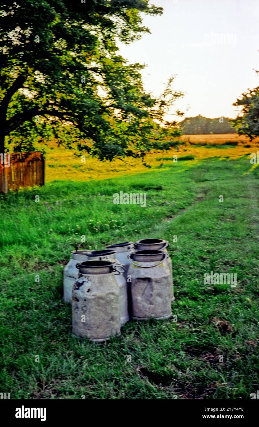 Alte Milchdosen auf der Wiese Stockfoto