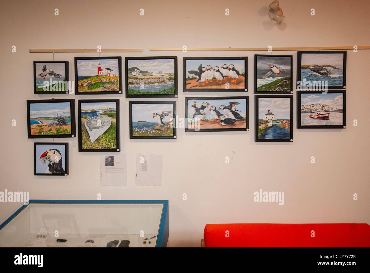 Drucke von Papageientauchern und Leuchtturm in der Colony of Avalon Visitors Centre Schild an der Pool Road in Ferryland, Neufundland & Labrador, Kanada Stockfoto