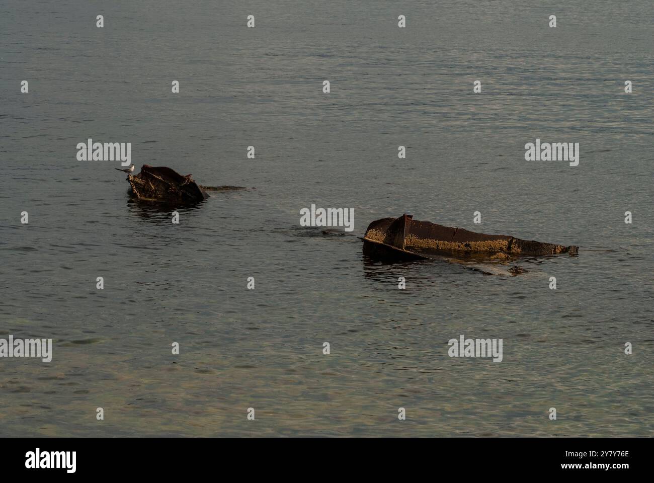 Überreste eines unbekannten Schiffswracks am Strand von Lance Cove auf Bell Island, Neufundland & Labrador, Kanada Stockfoto