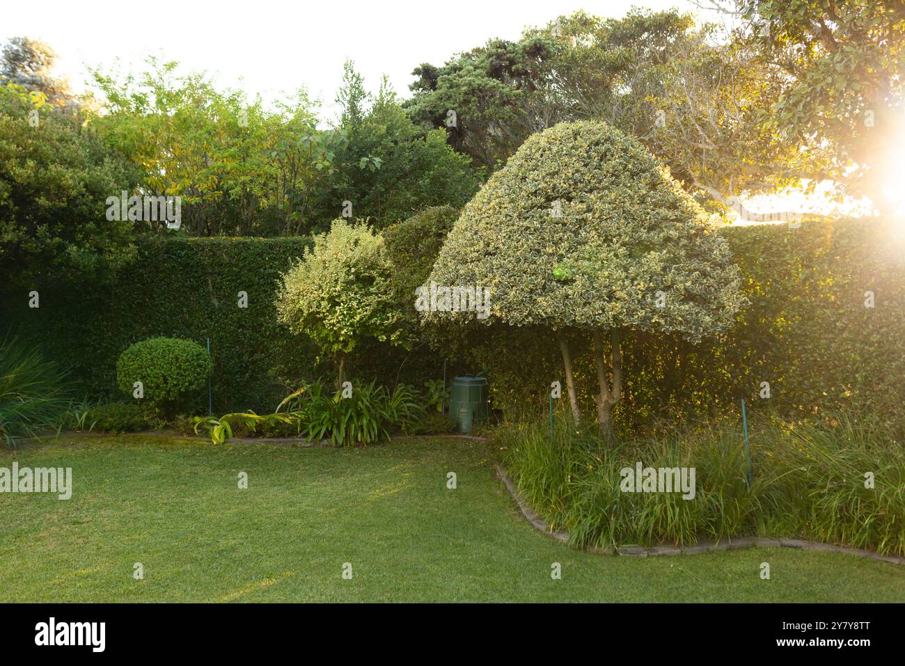 Draußen, Sonnenlicht durch Bäume in wunderschön angelegten Gärten mit üppigem Grün, Kopien Stockfoto