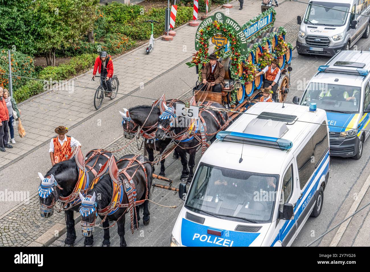 Wiesn-Pferdegespann im Stau auf der Landsberger Straße, Nähe Oktoberfest, München, Oktober 2024 Deutschland, München, Oktober 2024, Pferdegespann der Augustiner Brauerei steht im Stau auf der Landsberger Straße, Nähe Wiesn, festlich geschmücktes Vierergespann mit Bierfässern im Straßenverkehr, zufällig neben zwei Polizeifahrzeugen, Blick von oben, Wiesn-Pferde mit historischem Faßwagen von 1901, Oktoberfest, typisch bayerisch, Volksfest, Bayern, *** Wiesn Pferdekutsche im Stau an der Landsberger Straße, bei Oktoberfest, München, Oktober 2024 Deutschland, München, Oktober 2024, Augustiner Stockfoto