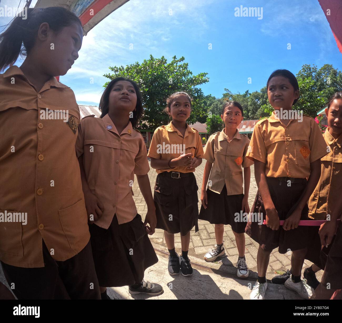 Schulmädchen, die unsicher sind, während sie Englisch lernen, Tangkoko Village, Sulawesi, Indonesien. KEIN MR Stockfoto