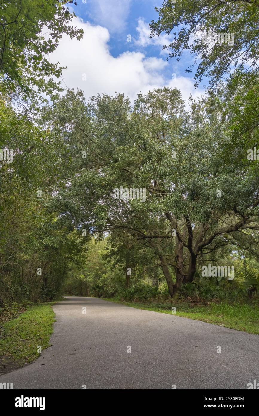 Die bewaldete Wanderbrücke durchquert das farbenfrohe Herbst- und Sommerlaub im New Tampa Nature Park an Autism Friendly Park in Hillsboro Stockfoto