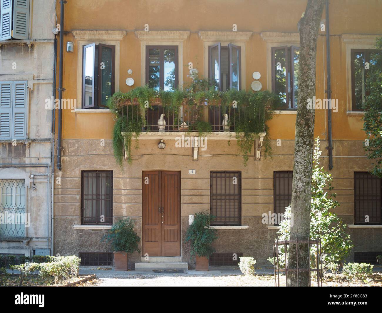 Mantua, Italien 30. September 2024 Sonnenlicht beleuchtet eine malerische Hausfassade mit einem Balkon voller Pflanzen und Tauben auf dem Geländer Stockfoto