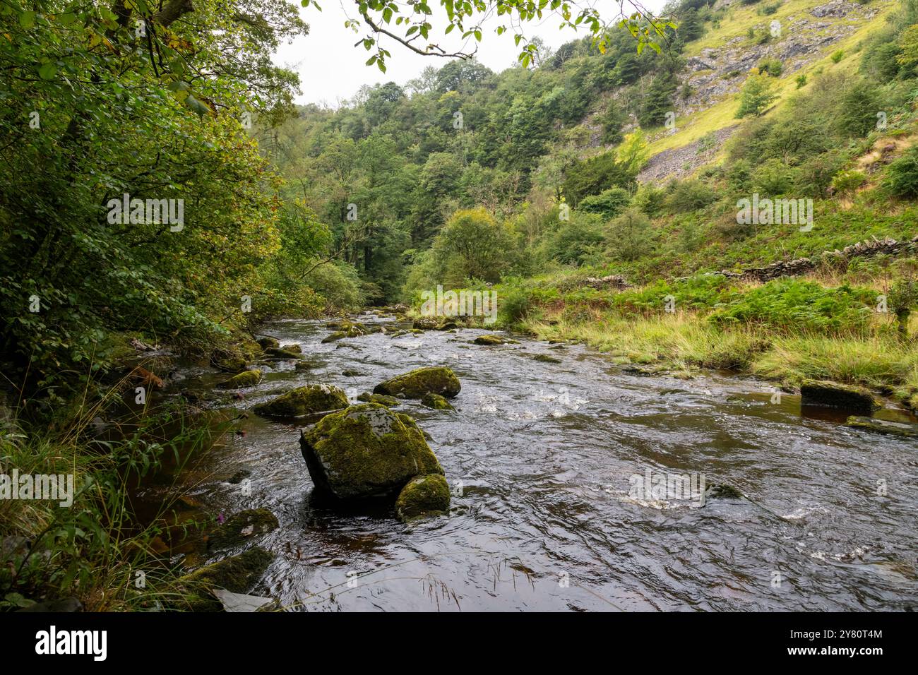 Der Fluss Twiss, der Ingleton Waterfalls Trail in North Yorkshire, England. Stockfoto