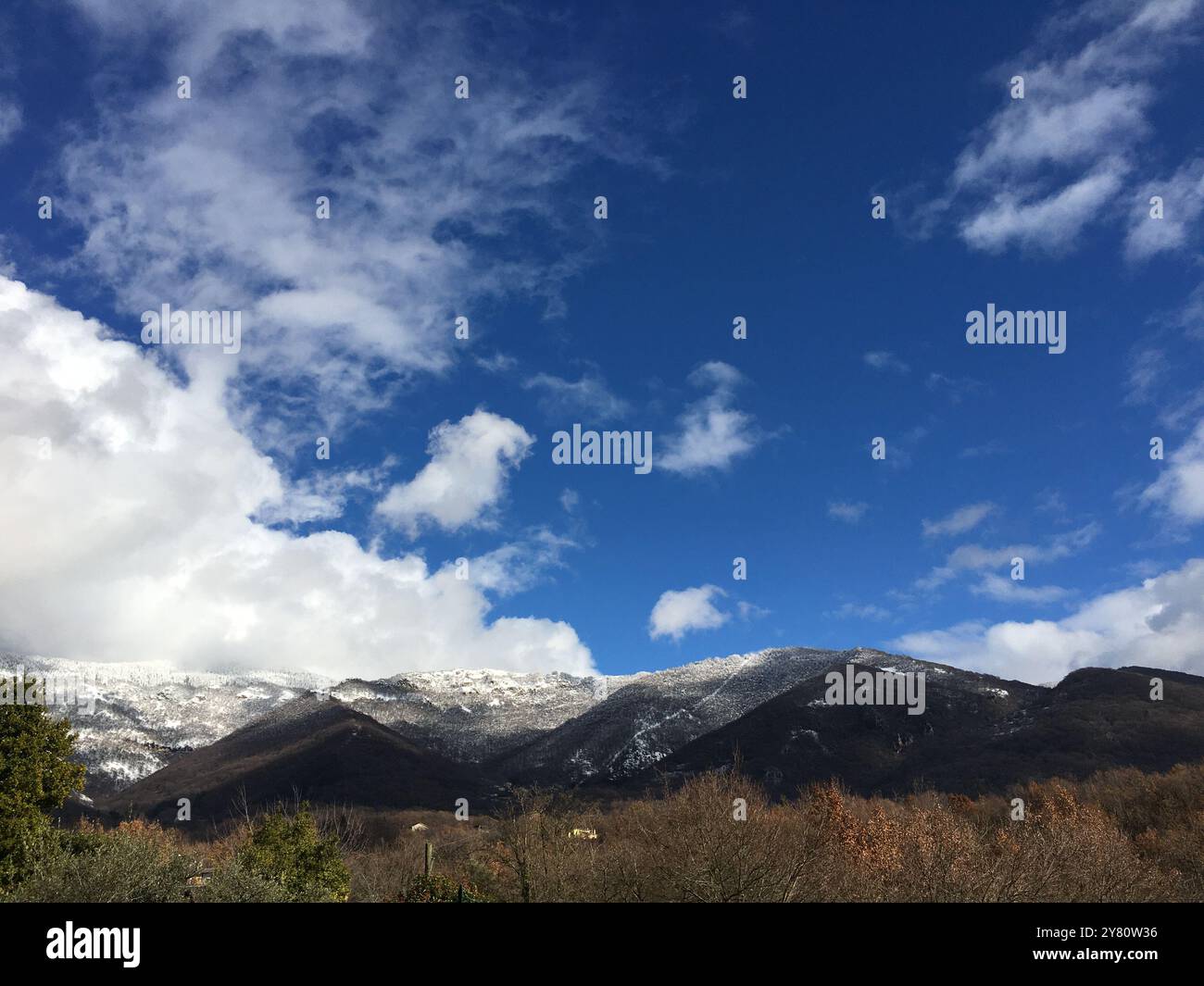 Verschneite Wälder mit Sonnenbäumen Stockfoto