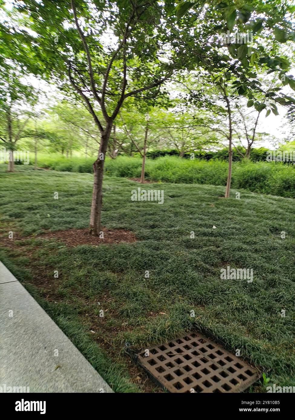 Erkunden Sie die Schönheit und die historischen Wahrzeichen des Washington D.C. National Park Stockfoto