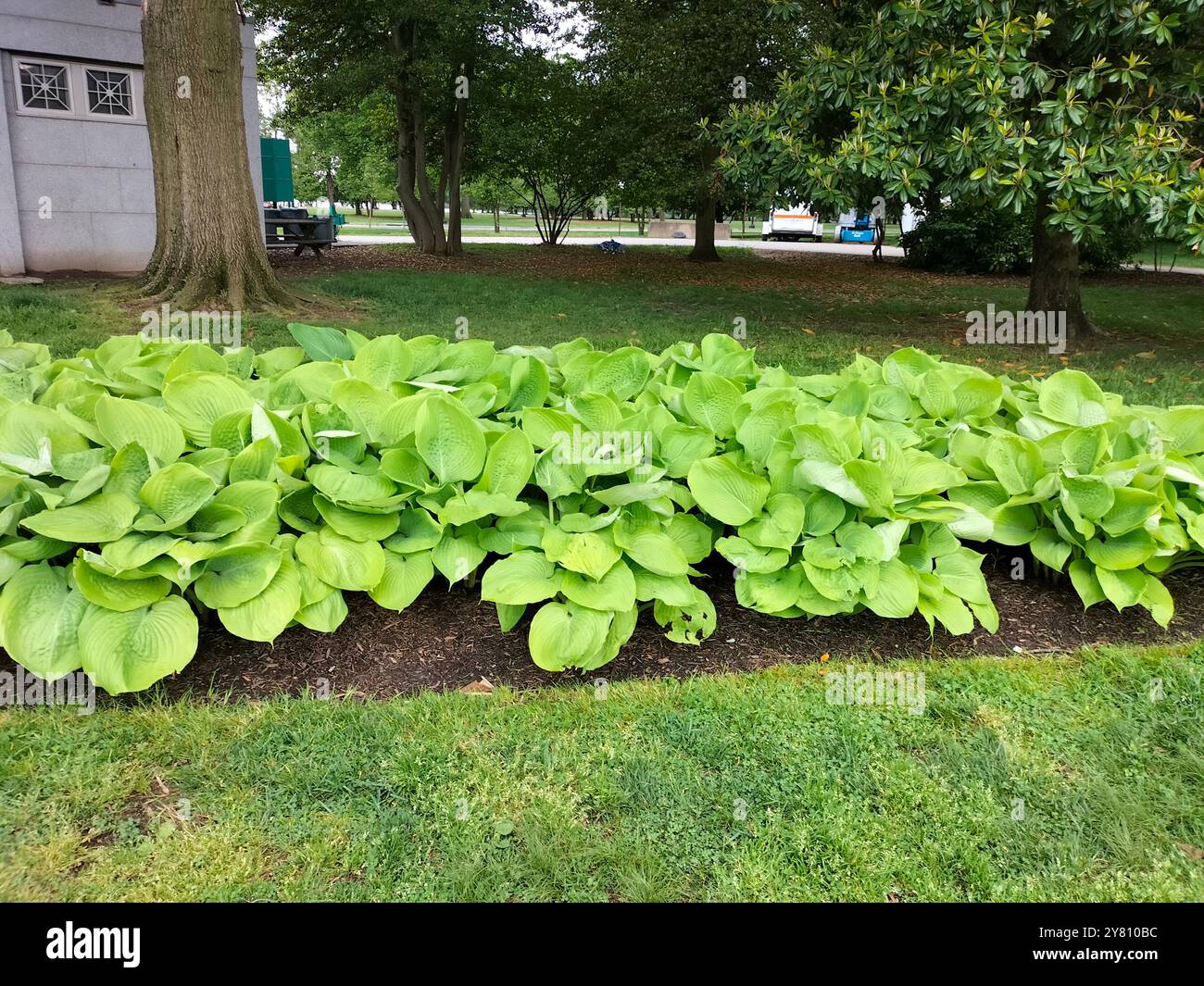 Erkunden Sie die Schönheit und die historischen Wahrzeichen des Washington D.C. National Park Stockfoto