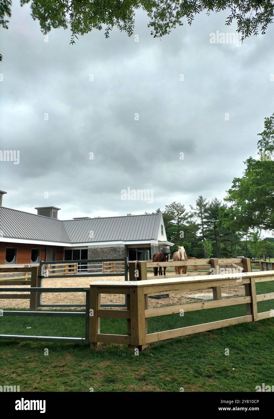 Erkunden Sie die Schönheit und die historischen Wahrzeichen des Washington D.C. National Park Stockfoto