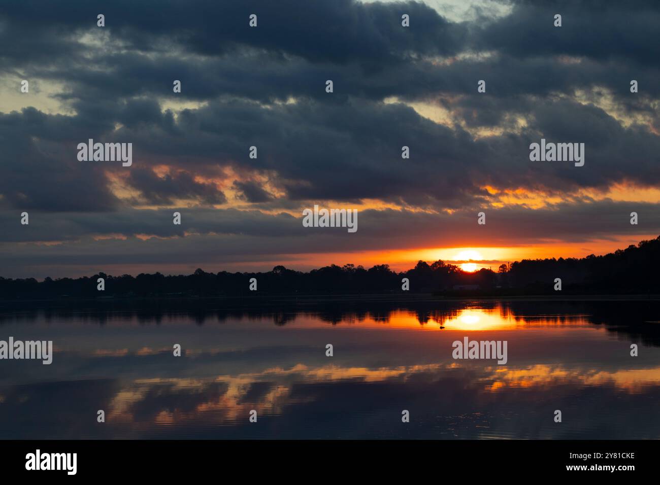 Sonnenaufgang am Lake Rousseau in Dunnellon, Florida Stockfoto