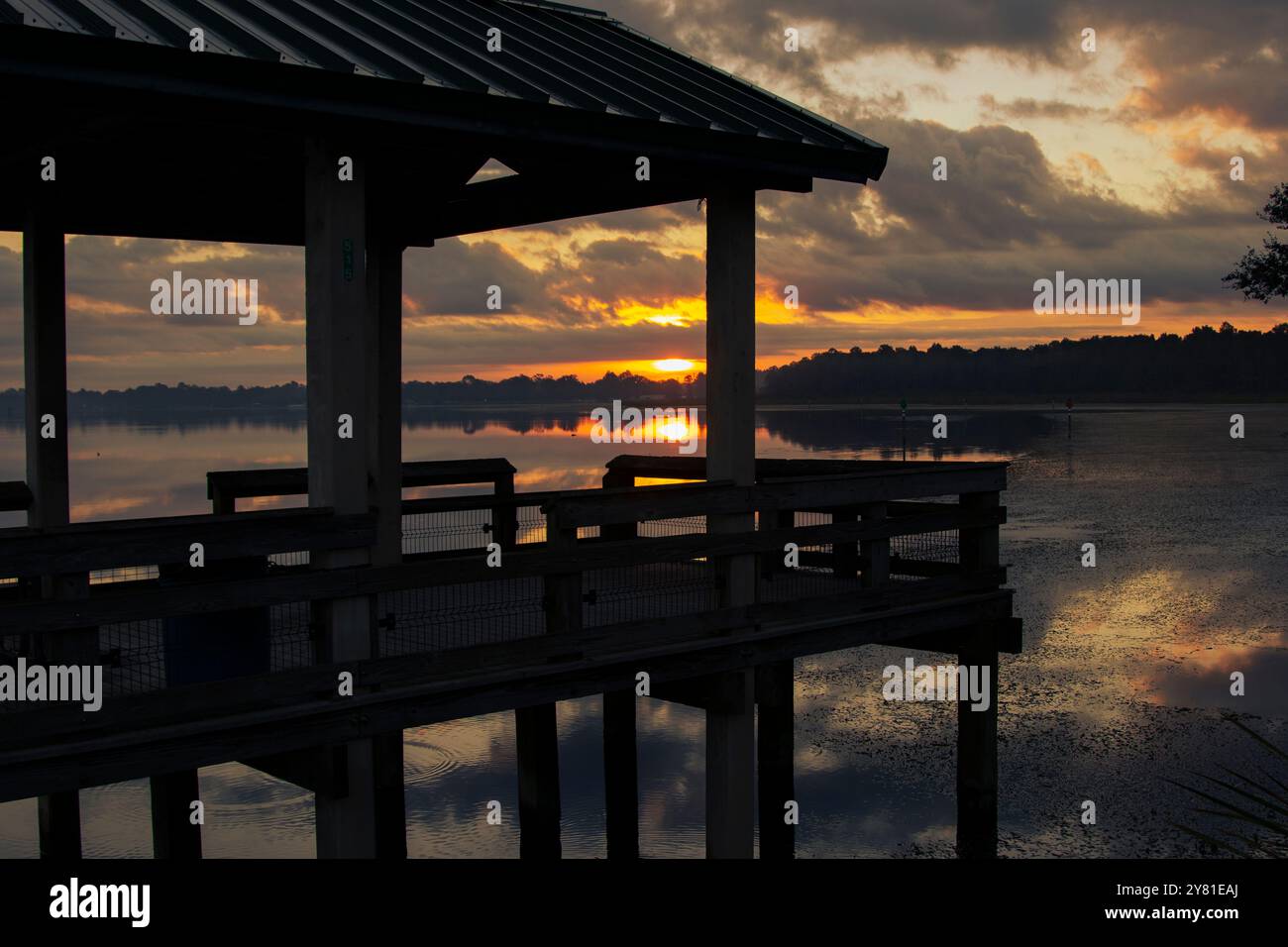 Sonnenaufgang am Lake Rousseau in Dunnellon, Florida Stockfoto