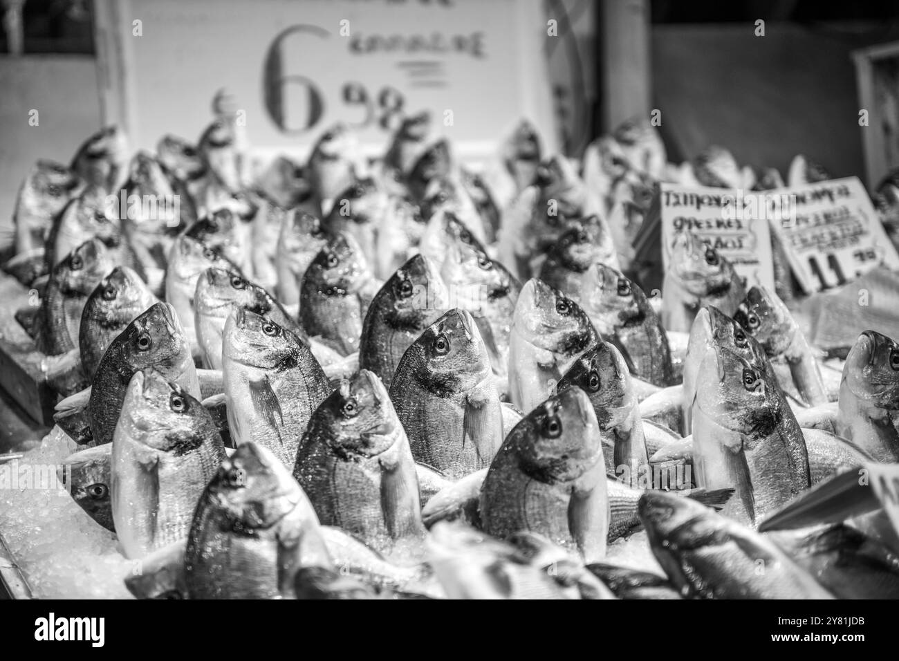 Fischhändler am frühen Morgen auf dem Athener Fischmarkt verkaufen Fänge frisch aus dem Meer Stockfoto