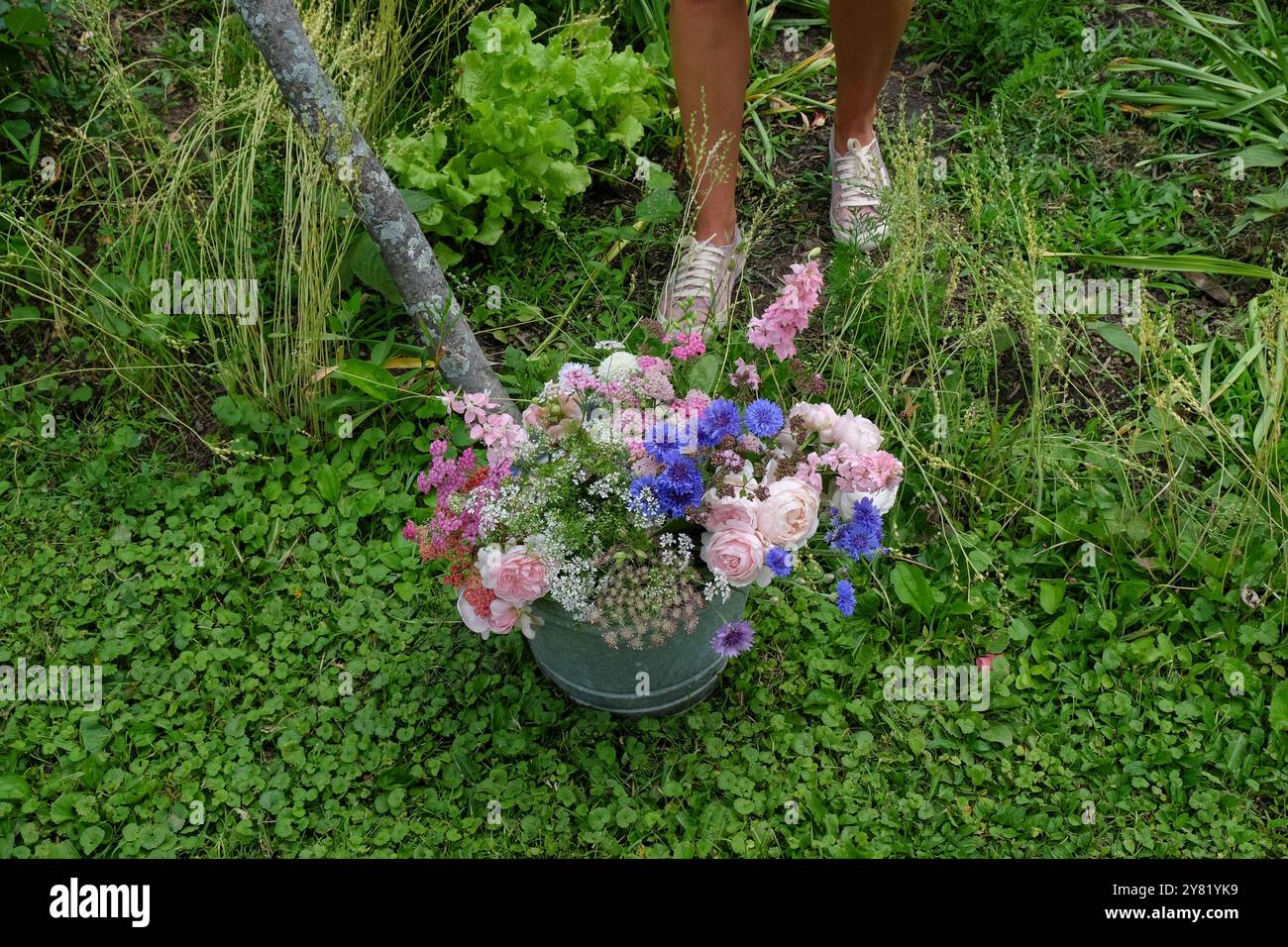 Eine Person steht in einem üppigen Garten mit einem Metalleimer, der mit einer bunten Auswahl an Blumen blüht. Stockfoto