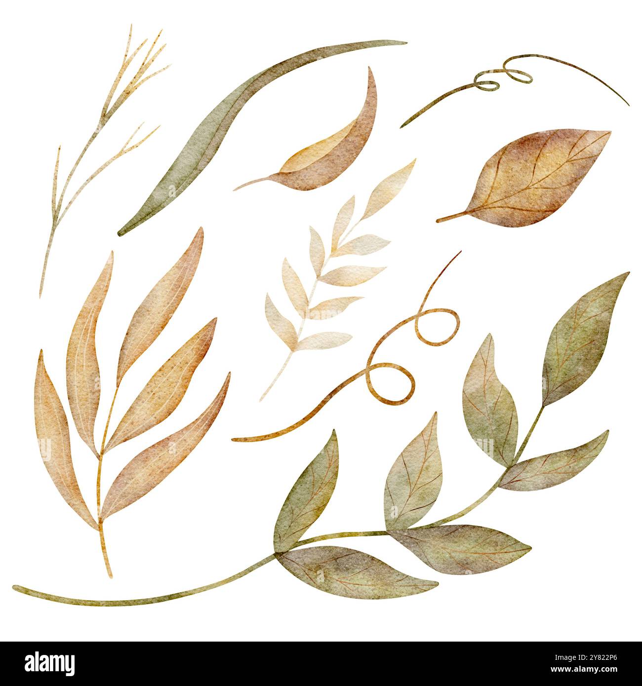 Set von herbstlichen Aquarellblättern, Zweigen, Kräutern. Abbildung isoliert auf weißem Hintergrund. ClipArt zum Gestalten von Karten, Einladungen und Postern Stockfoto