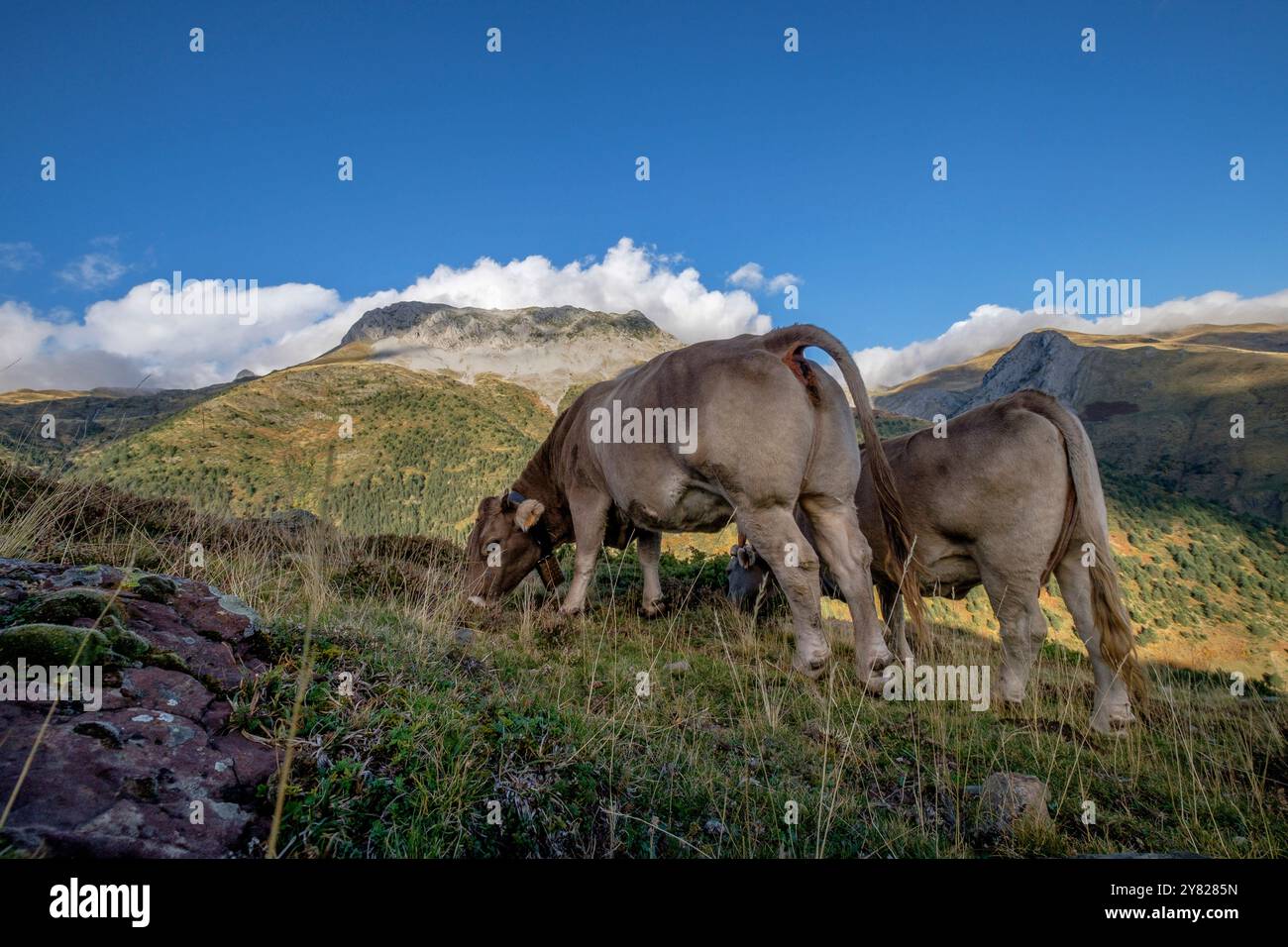 Pico de la Ralla, 2146 mts, - Mallo de las Foyas -, das Tal von Hecho, westlichen Täler, Pyrenäen, Provinz Huesca, Aragón, Spanien, Europa Stockfoto