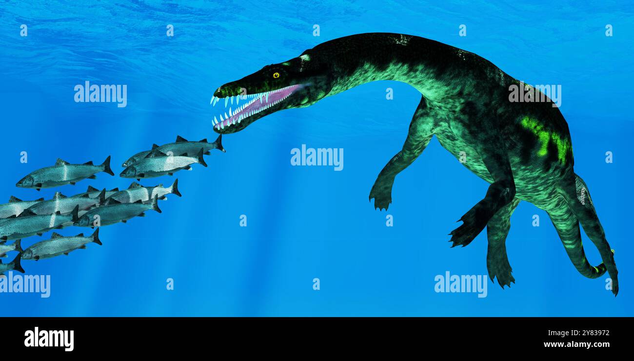 Eine Schule Atlantischer Lachse schwimmt während der Triaszeit vor einem riesigen Nothosaurus Reptil. Stockfoto