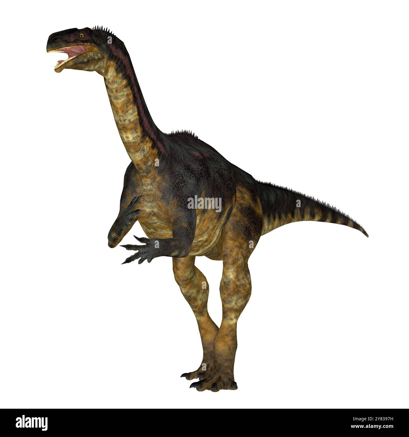 Plateosaurus war ein prosauropod pflanzenfressender Dinosaurier, der in der Trias Alter Europa gelebt. Stockfoto