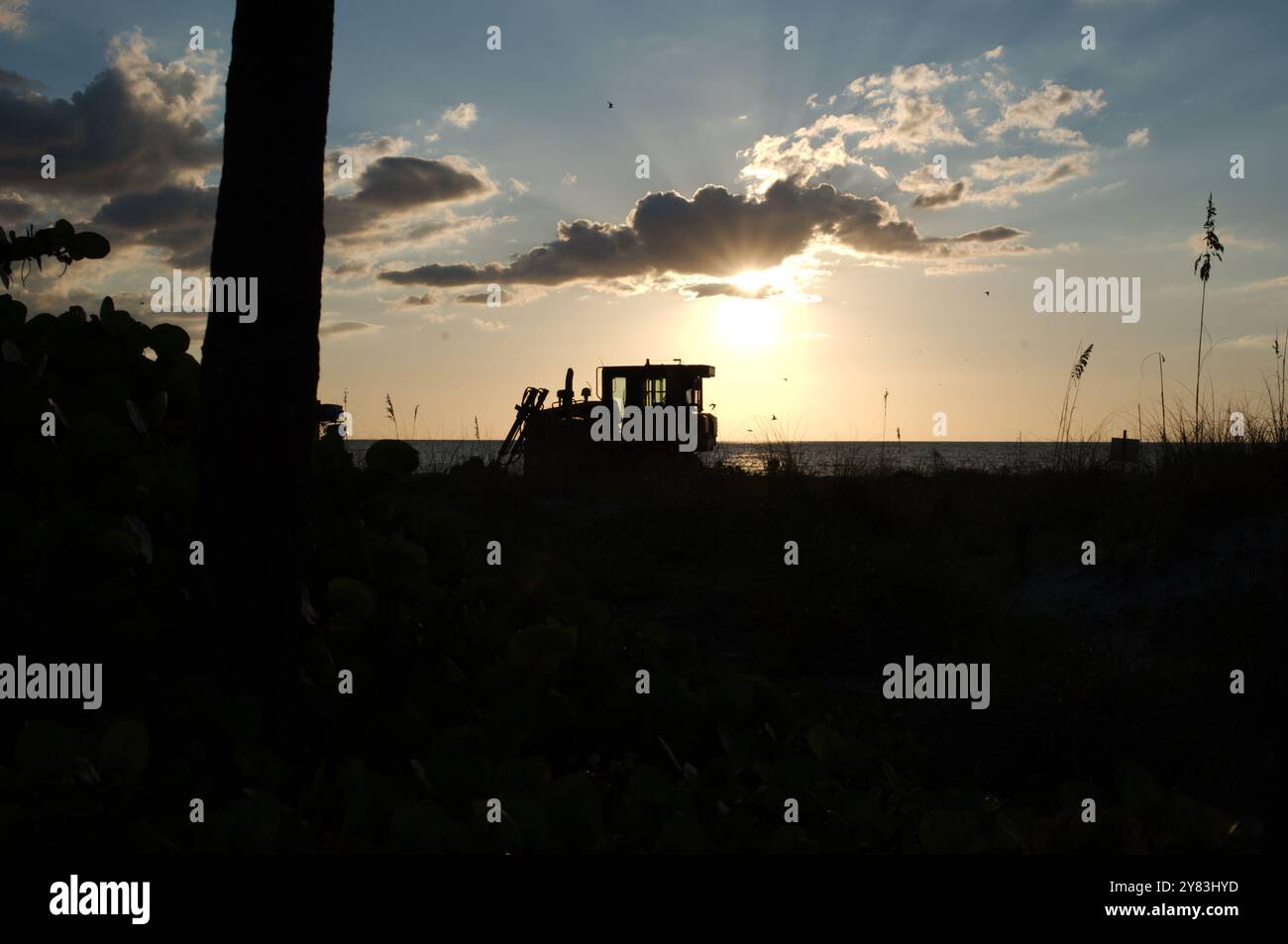 Silhouette am St. Pete Beach, FL in Richtung Golf von Mexiko, da schwere Maschinen auf der Strandernährung arbeiten. Blick auf Sand und Hafer. Nahe Sonnenuntergang spät Stockfoto