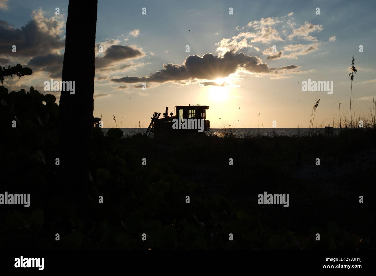 Silhouette am St. Pete Beach, FL in Richtung Golf von Mexiko, da schwere Maschinen auf der Strandernährung arbeiten. Blick auf Sand und Hafer. Nahe Sonnenuntergang spät Stockfoto