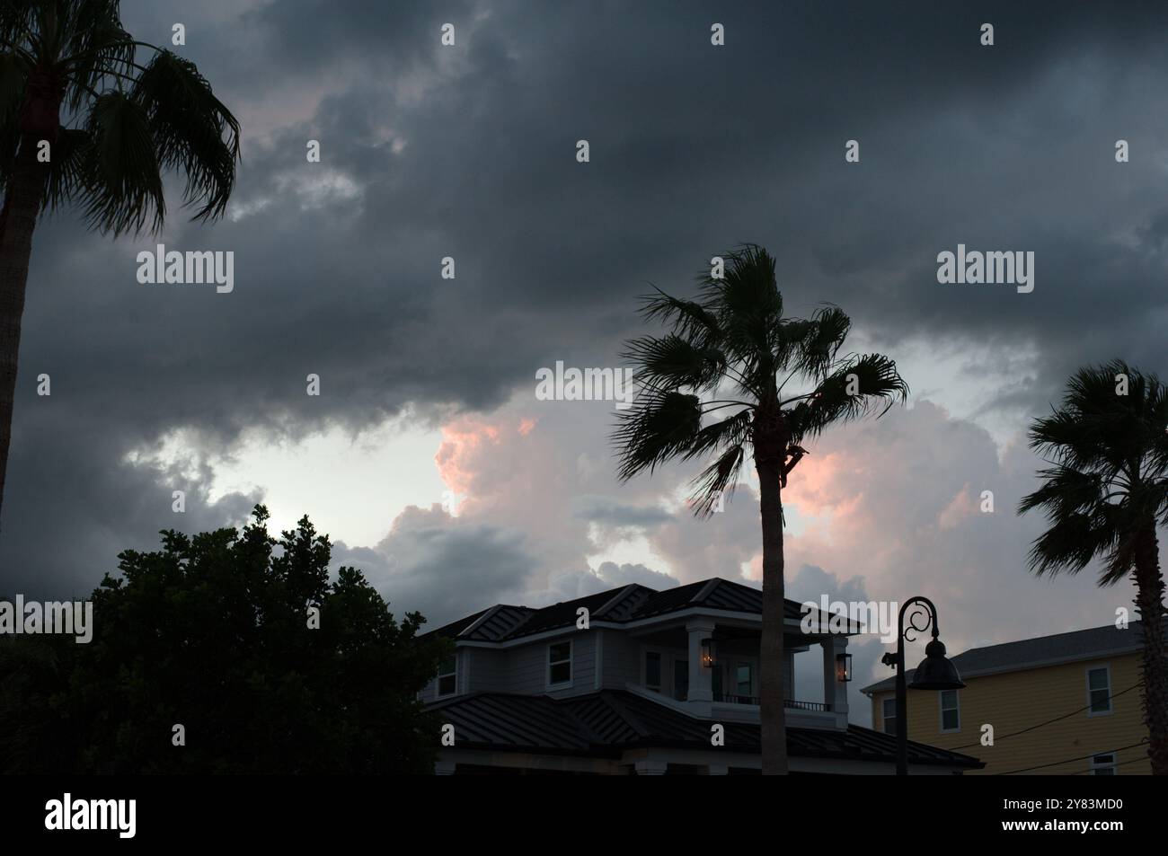 Horizontaler Blick auf Palmen in Richtung St. Pete Beach, FL in Richtung Golf von Mexiko. Nahe Sonnenuntergang am späten Nachmittag. Goldene bunte Wolken Stockfoto