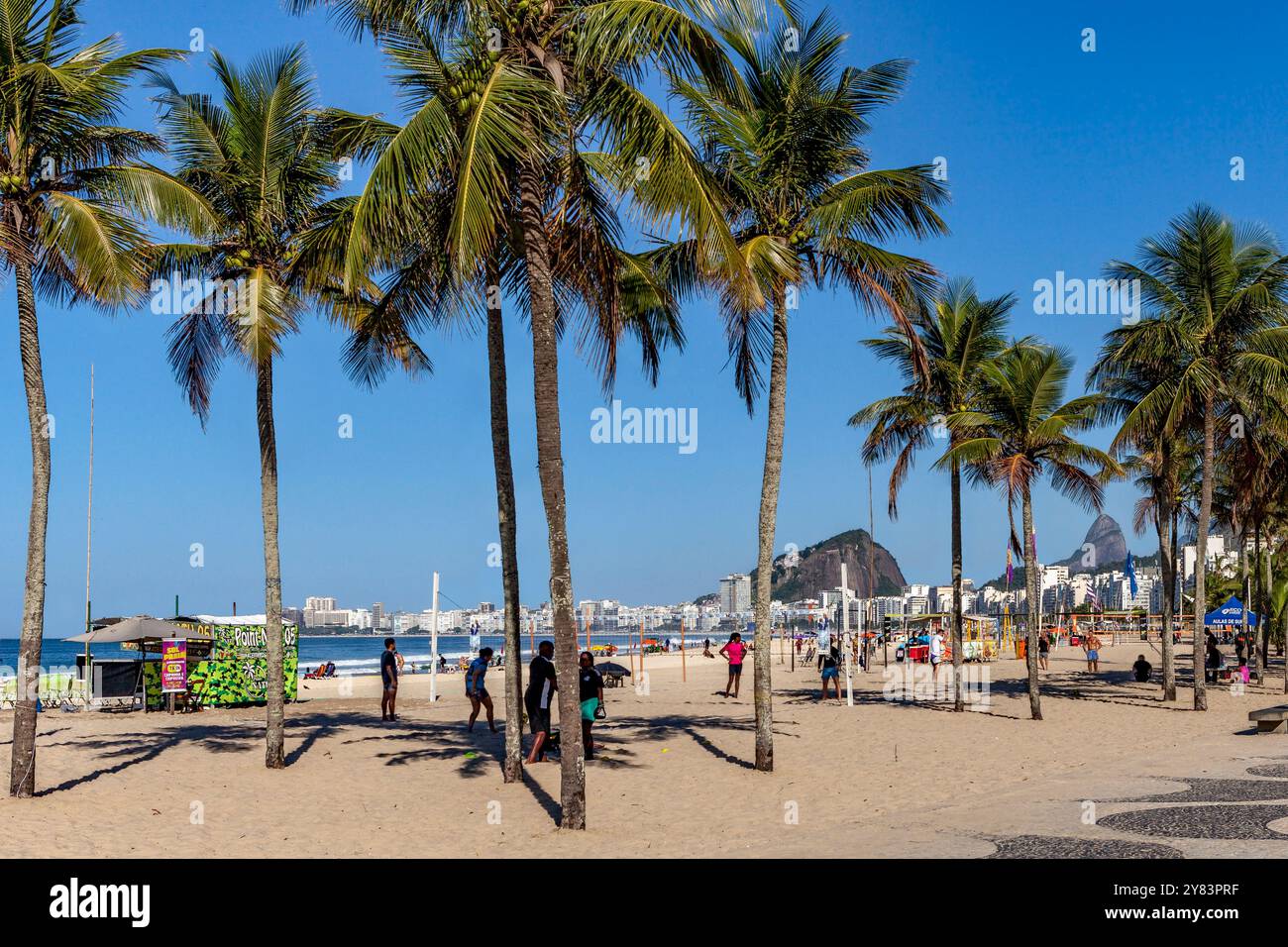 Copacabana Strand, mit Palmen, Rio de Janeiro, Brasilien Stockfoto