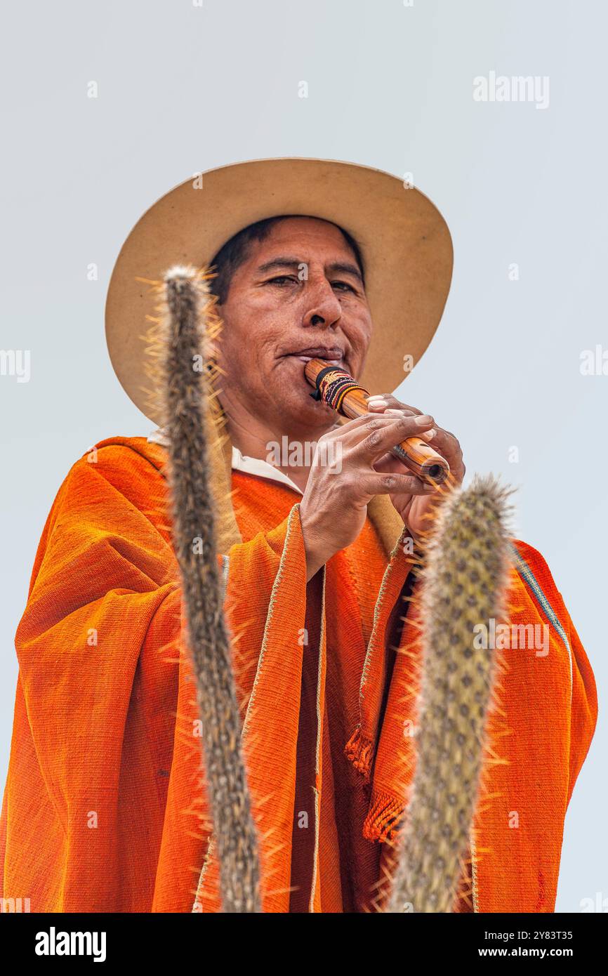 Ein einheimischer Mann spielt ein musikalisches Blasinstrument im Tal des Mondes, La Paz, Bolivien Stockfoto