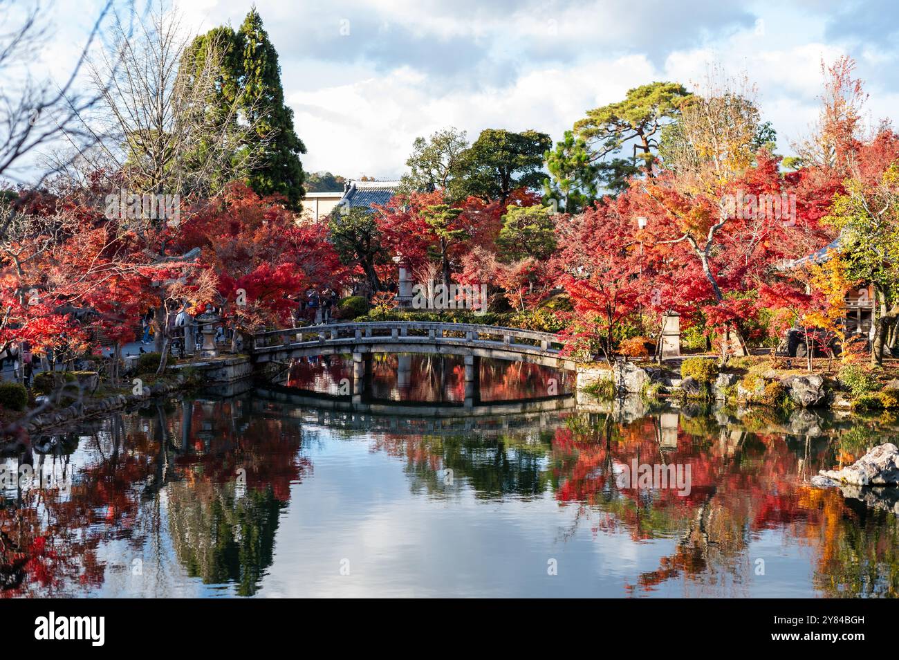 Eine malerische Steinbrücke überquert einen ruhigen Teich, umgeben von leuchtendem rot-orangenem Herbstlaub mit klaren Reflexen im Wasser. Stockfoto