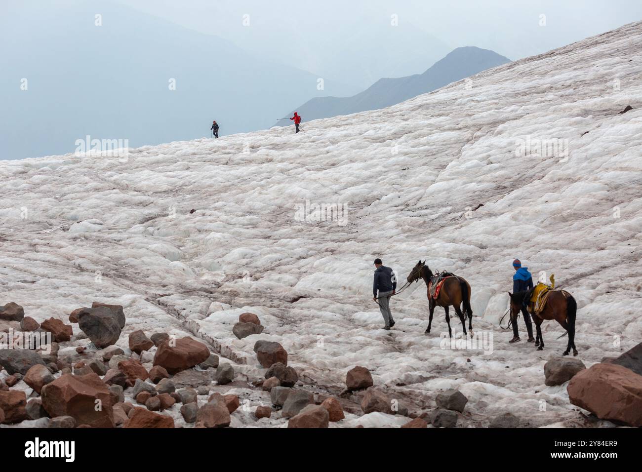 Eine riesige und unberührte Wildnis. Ein Reisender führt zwei Packpferde durch üppiges, nebeliges Berggelände mit Ausrüstung und Vorräten. Stockfoto