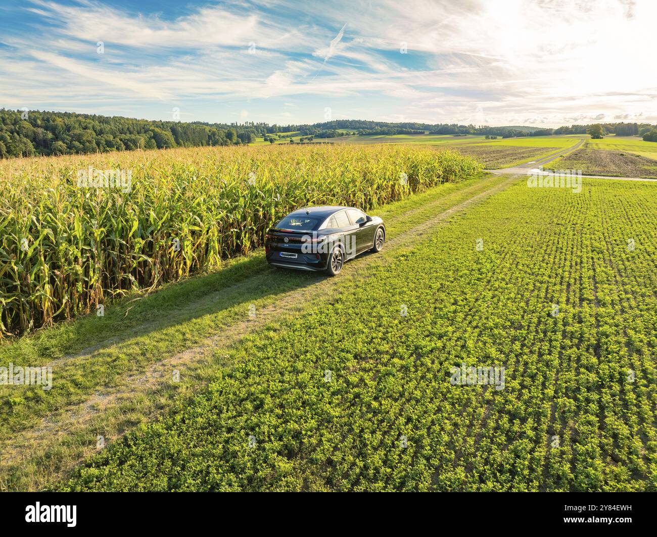 Schwarzes Auto fährt auf einem Feldweg entlang eines hohen Maisfeldes unter einem blauen, leicht bewölkten Himmel, Carsharing, VW ID5, Calw, Schwarzwald, Deutschland, Europa Stockfoto