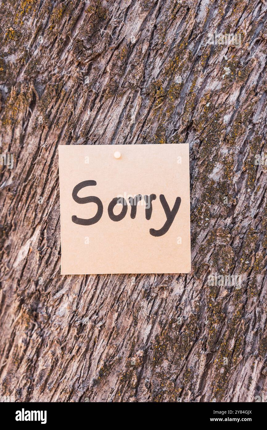 Word Sorry geschrieben und gezeichnet auf recyceltem Karton mit strukturiertem Baumrindenhintergrund. Stockfoto