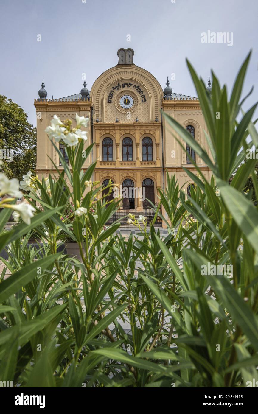 Wunderschöne Stadt und Straßenaufnahme eines alten Stadtzentrums am Tag. Sommerwetter im Stadtzentrum und in der Synagoge der Stadt mit fünf Kirchen, Pi¿½ Stockfoto