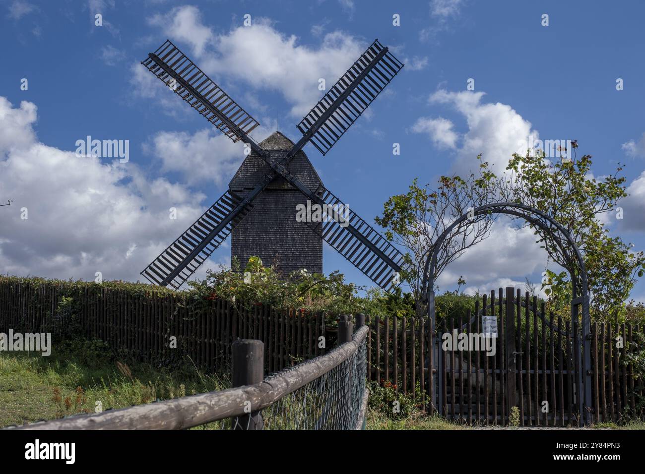 Deutschland, Berlin, 19.09.2023, Marzahner Bockwindmühle in Berlin-Marzahn, der Name des Mühlentyps sagt alles: Das Mühlenhaus Sta Stockfoto