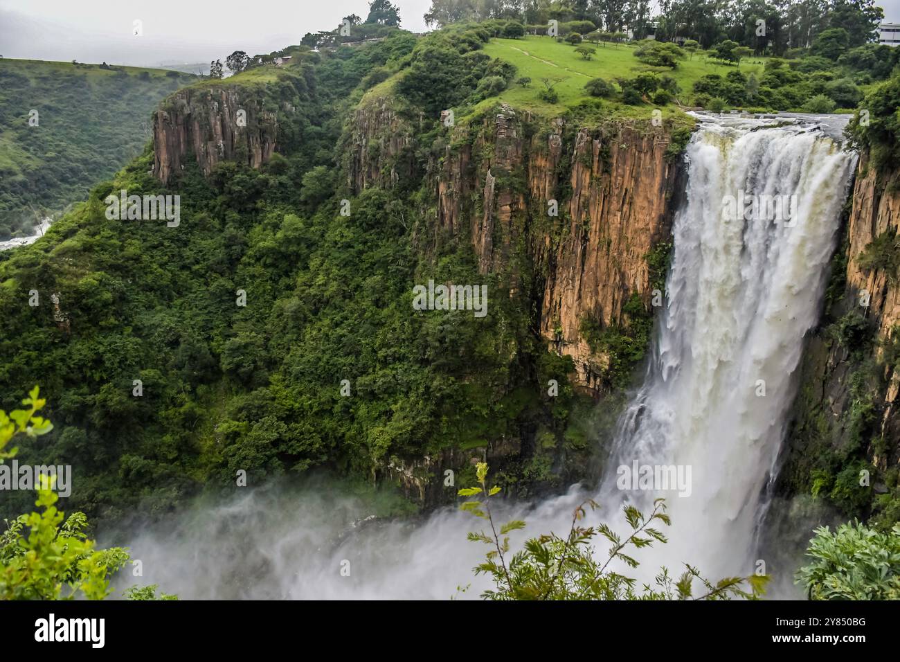 Howick Falls Wasserfall am Umgeni River in KZN midlands Meander Stockfoto