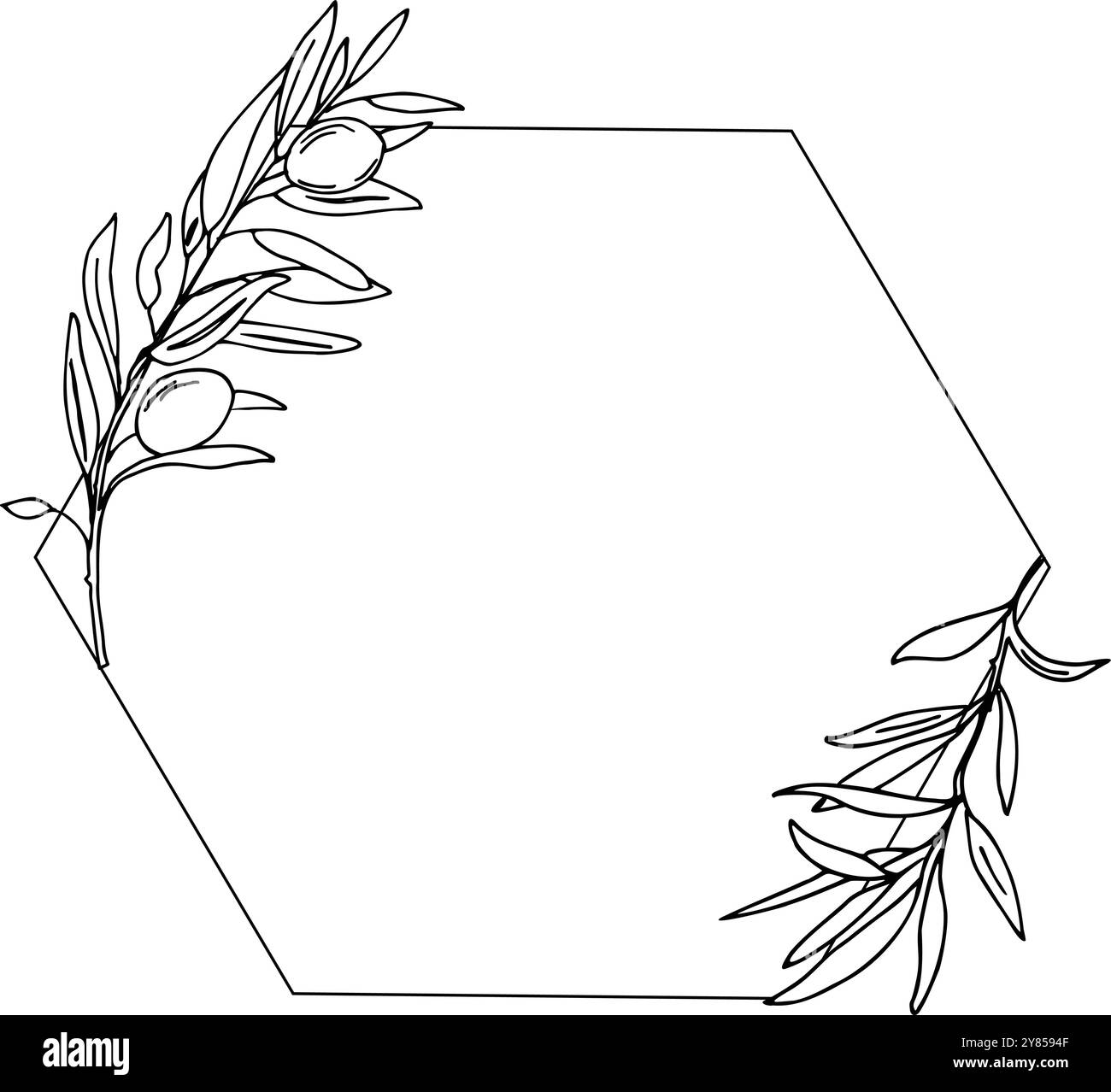 Olivfarbener polygonaler Rahmen. Handgezeichnete Olivenzweige und Früchte. Vektorillustration für Logos und Schreibwaren. Stock Vektor