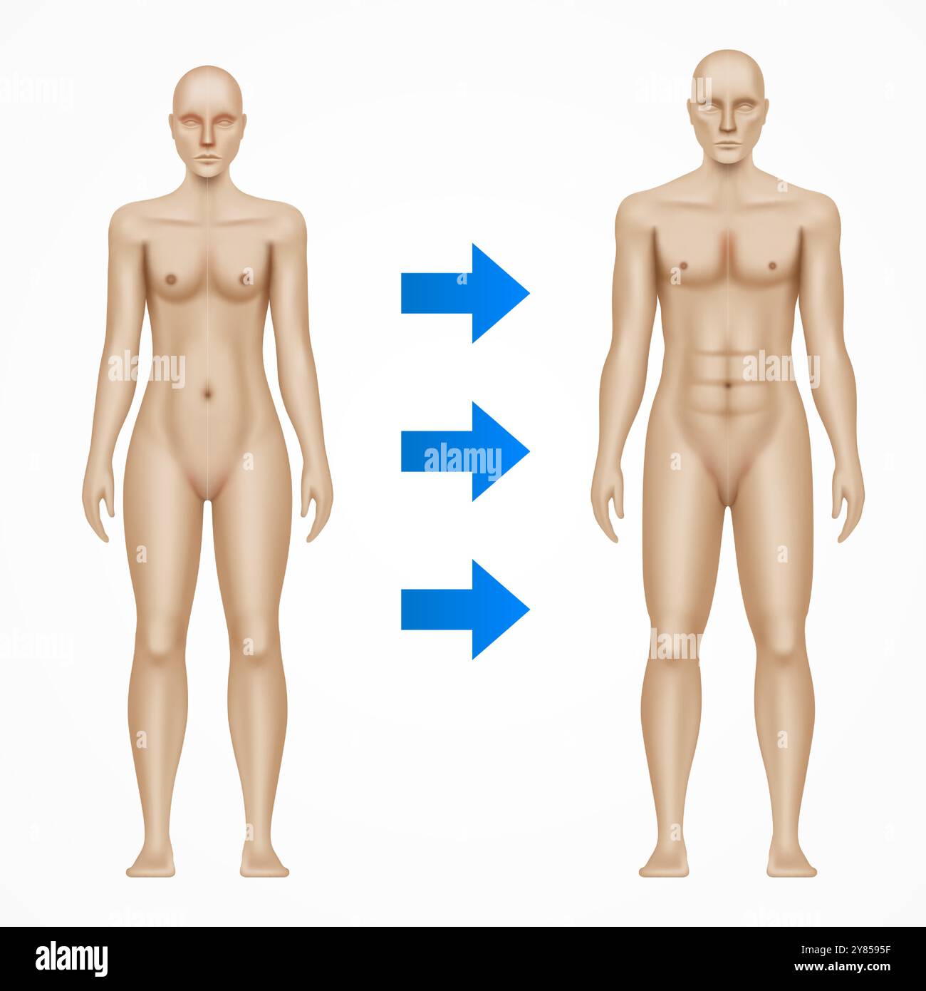 Geschlechtsübergang von Frau zu Mann, Konzeptvektorillustration. Der Transformationsprozess von Frau zu Mann. Körperfiguren von Frau und Mann, die Geschlechterveränderungen oder Geschlechterinteraktionen zeigen. Stock Vektor