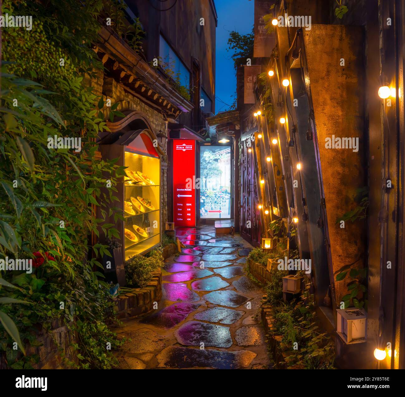Malerische Gasse in Insadong, Seoul, beleuchtet von warmen Abendlichtern. Der nasse Steinweg reflektiert das sanfte Leuchten und schafft eine gemütliche Atmosphäre. Stockfoto