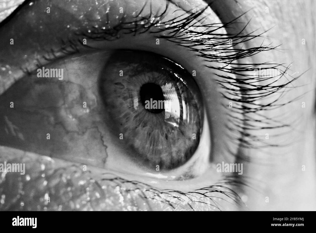 Frau Augen Stockfoto