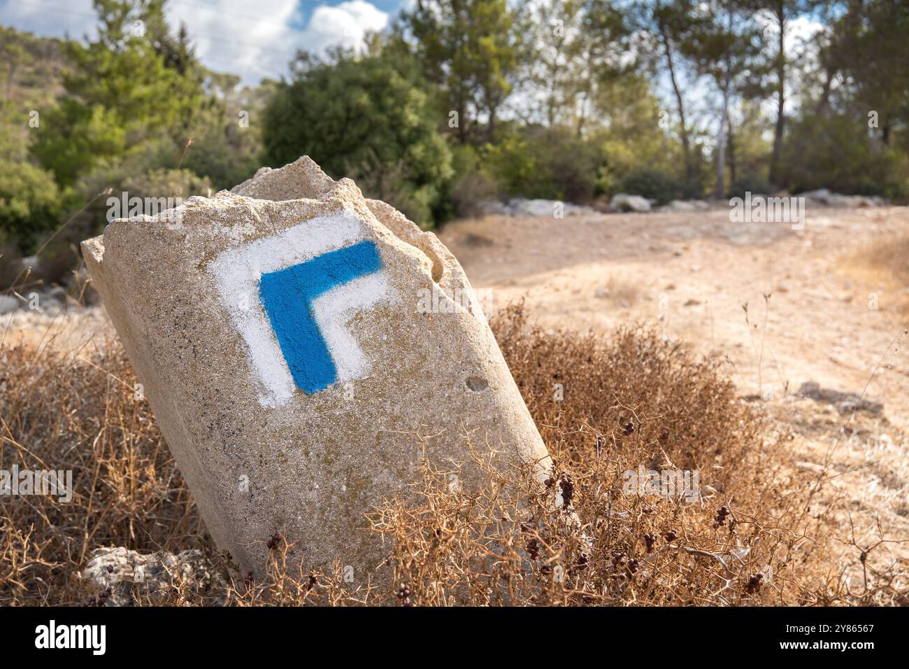 Blau-weiße Wegmarkierung eines Wanderweges, gemalt auf einem Stein Stockfoto