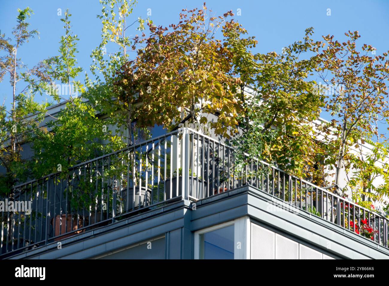 Balkone Wohnungen Wohnhaus Terrasse Grüne Pflanzen Sträucher Bäume Wachsen Wachsendes Wachstum Wächst Pflanzen Berlin Deutschland Balkon Europa Stockfoto
