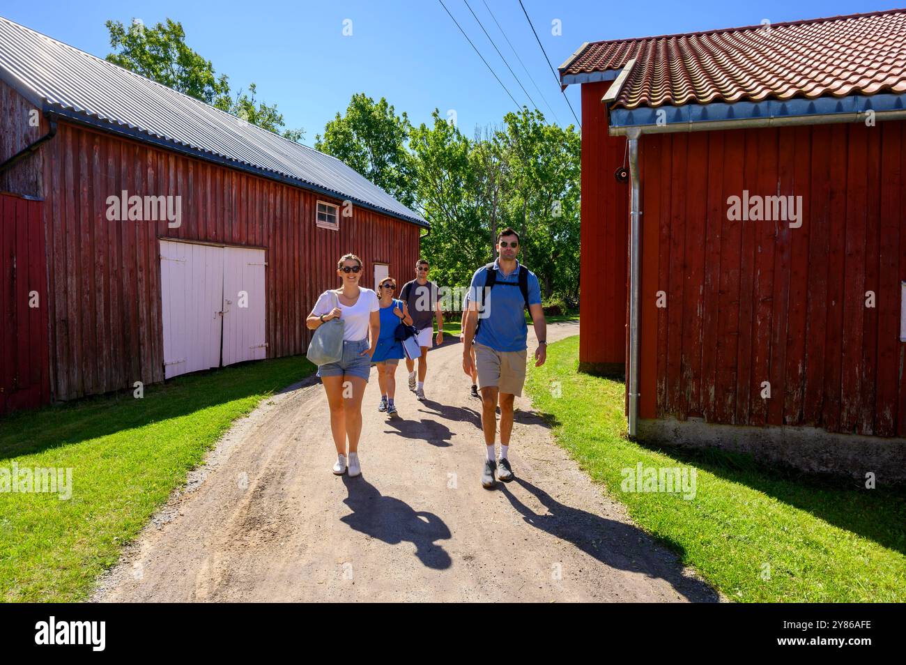 Eine Gruppe junger Erwachsener und ein Seniorin spazieren auf einer Schotterstraße zwischen roten, hölzernen Bauernhäusern auf der Insel Jomfruland an einem sonnigen Tag in Telemark, Norwegen. Stockfoto