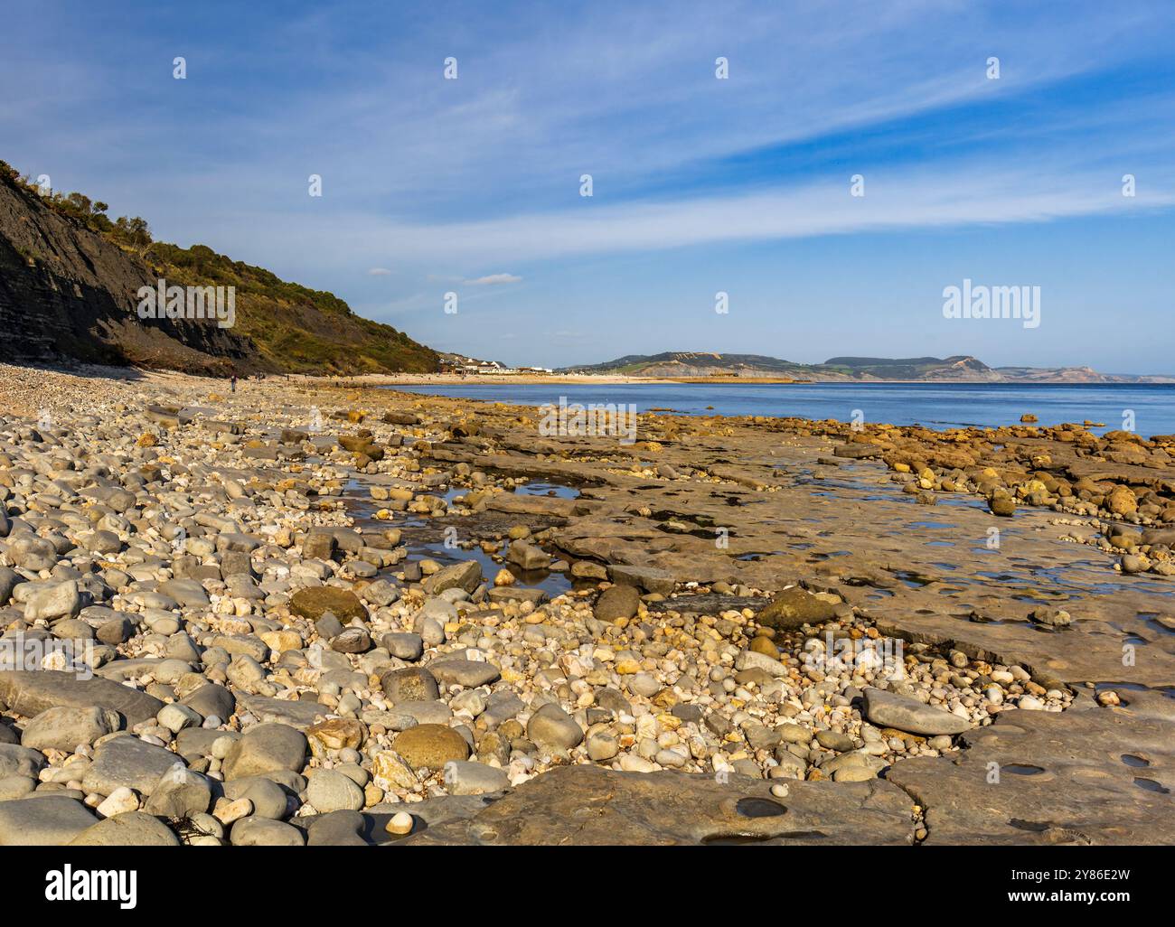 Die Ammonite Pflaster, Monmouth Beach, Lyme Regis, England, Großbritannien. Stockfoto