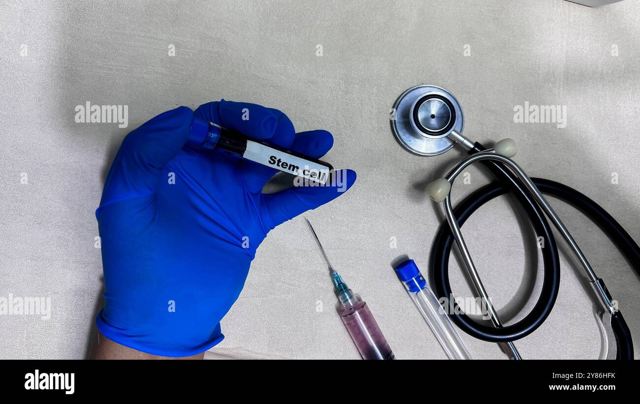 Stammzelltest mit Blutprobe. Blick von oben, isoliert am Schreibtisch. Gesundheitswesen/medizinisches Konzept Stockfoto