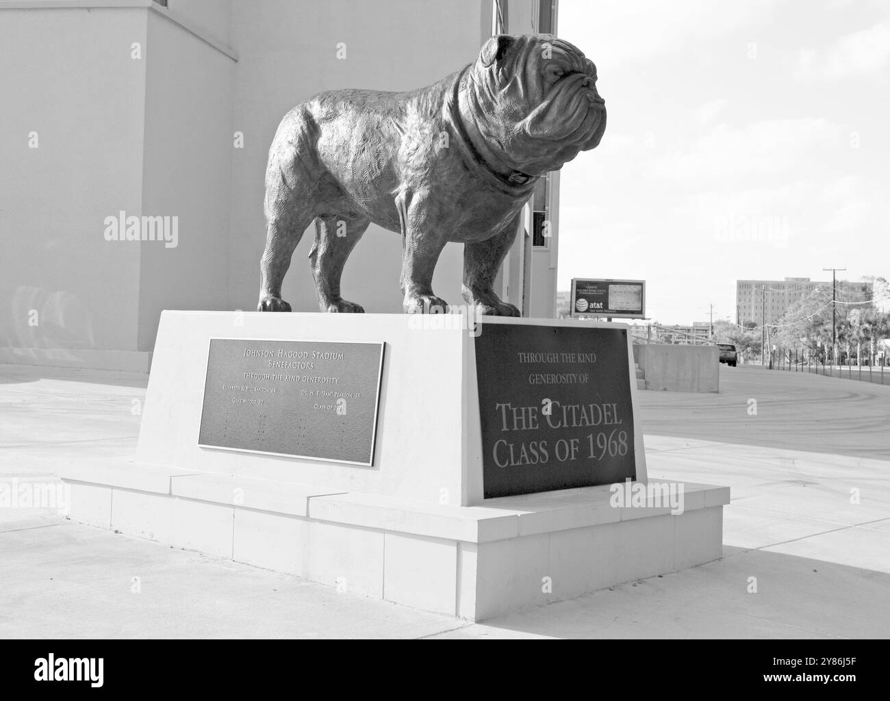 Bulldog Maskottchen-Statue vor dem Johnson Hagood Stadium in der Zitadelle in Charleston, South Carolina, USA. Stockfoto