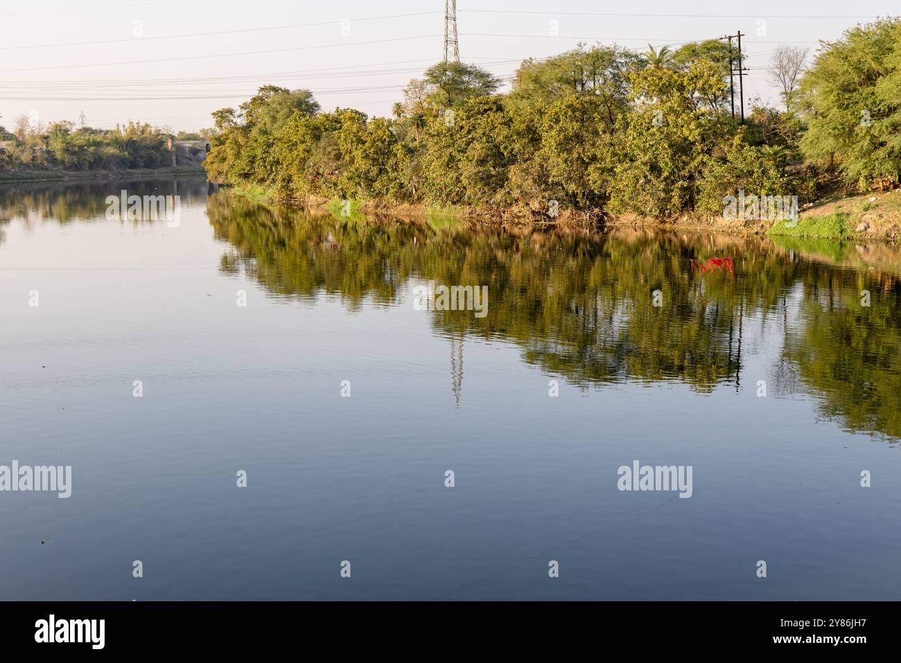 Ruhiger und sauberer Fluss mit grünem Waldwasser am Morgen Stockfoto