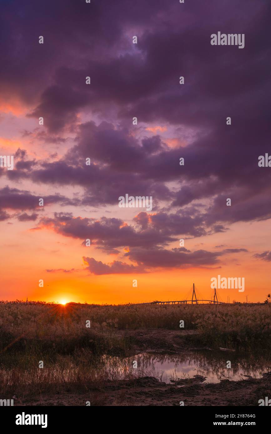 Ein ruhiger Sonnenuntergang über einem Feld mit Incheon Bridge in der Ferne. Der Himmel leuchtet in leuchtenden Rot- und Violetttönen und schafft eine ruhige Atmosphäre. Stockfoto